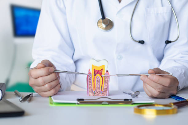 , NJ Emergency Dental Service Company